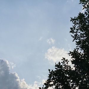 Meet your Posher, Sosun